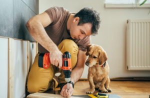 Pet-Friendly Home Improvements