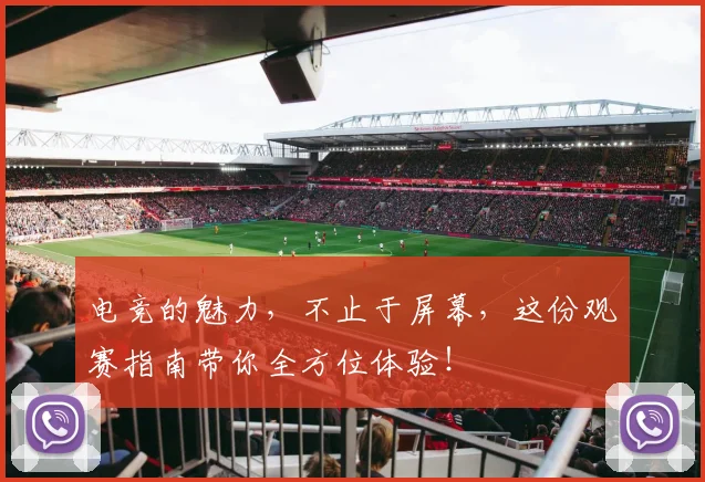 电竞的魅力,不止于屏幕,这份观赛指南带你全方位体验!